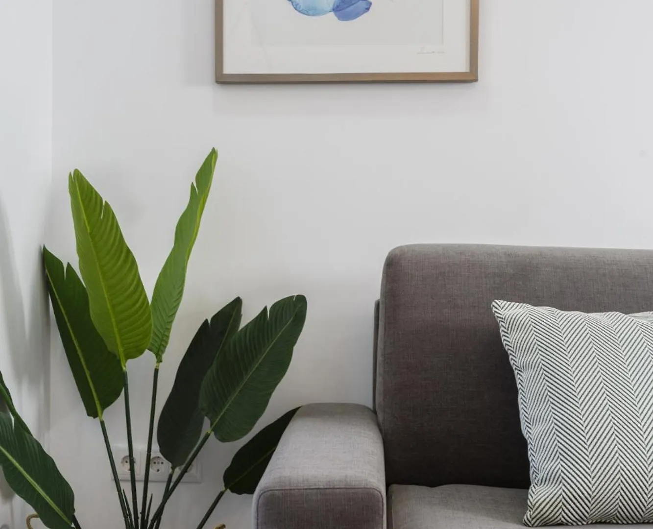 Brujula Ground Floor Indoor Apartment By Cadiz4Rentals קדיז